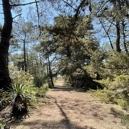 Maisonnette Cosy A Barbatre, Bordure Foret, Proche - Fr-1-823-6 Tatil Evi Barbâtre