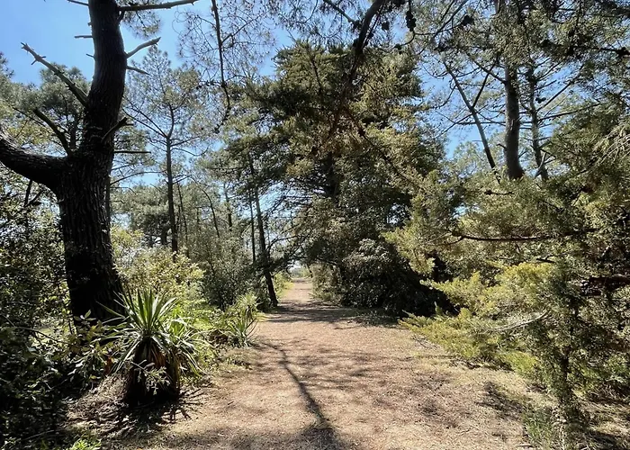 Maisonnette Cosy A Barbatre, Bordure Foret, Proche - Fr-1-823-6 Tatil Evi Barbâtre